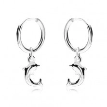 Ohrringe aus Silber 925, glänzend glatter Ring, Delphin