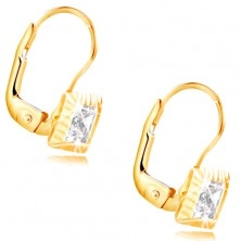 14K Gelbgold Ohrringe – viereckige Fassung mit Einschnitten, geschliffener klarer Zirkon, 5 mm