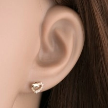 Brillant Ohrringe aus 585 Gold – Herzumriss mit einer Diamanten-Linie und einem Delfin