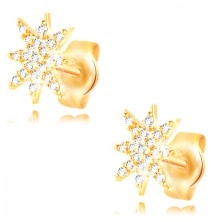 14K Gelbgold Ohrringe - glitzernder Stern mit klaren Zirkonen geschmückt