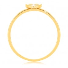 Ring in 9K Gelbgold - Herz mit weißem Rand und klarem Zirkon