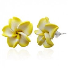 Ohrringe aus Fimo, weiß-gelbe Frangipani Blume